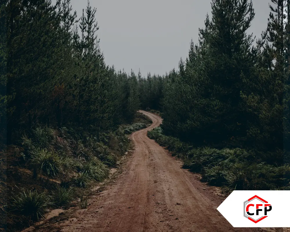 Equipo de Copy Fast & Print trabajando